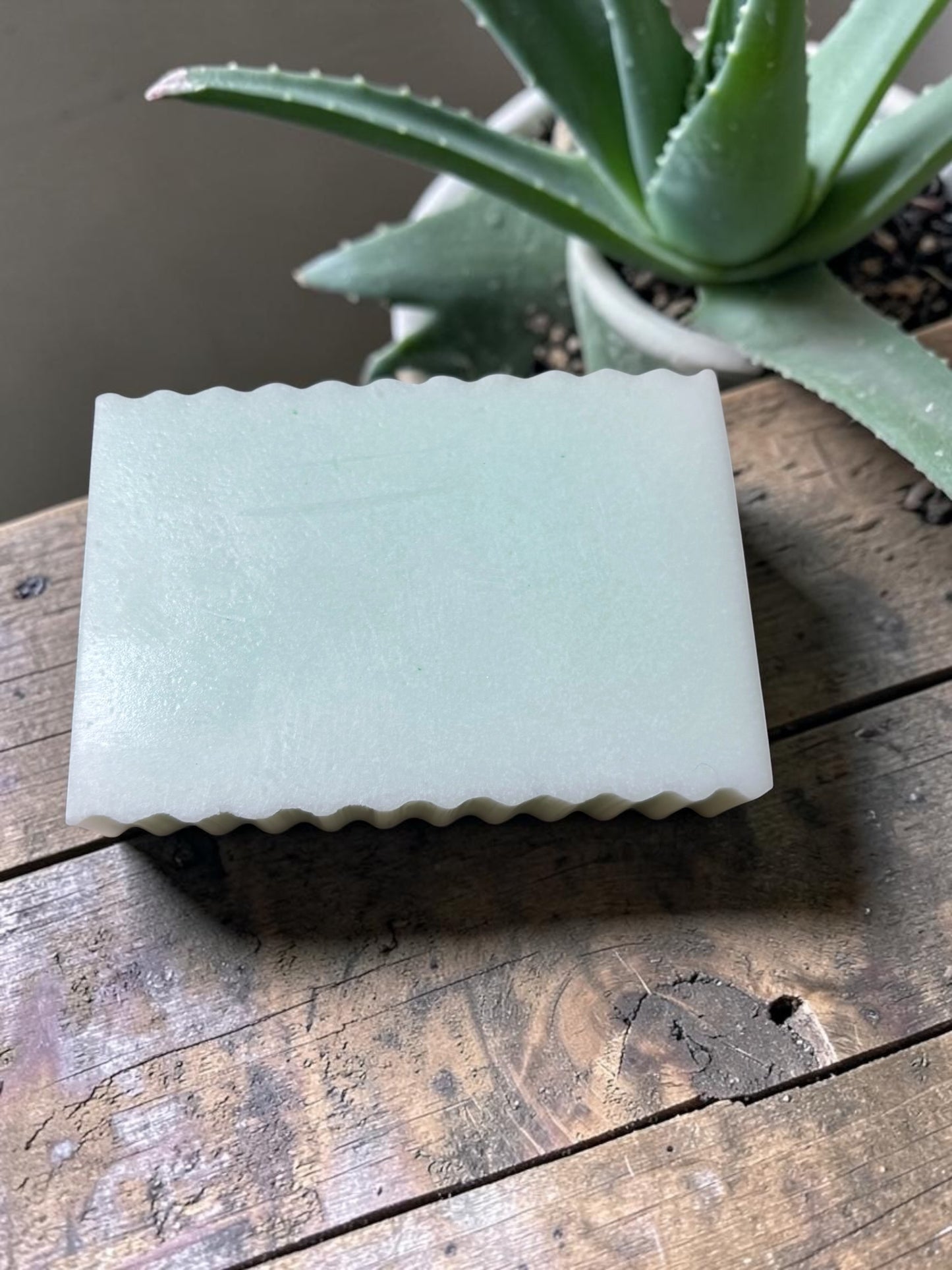 Aloe Recovery Bar