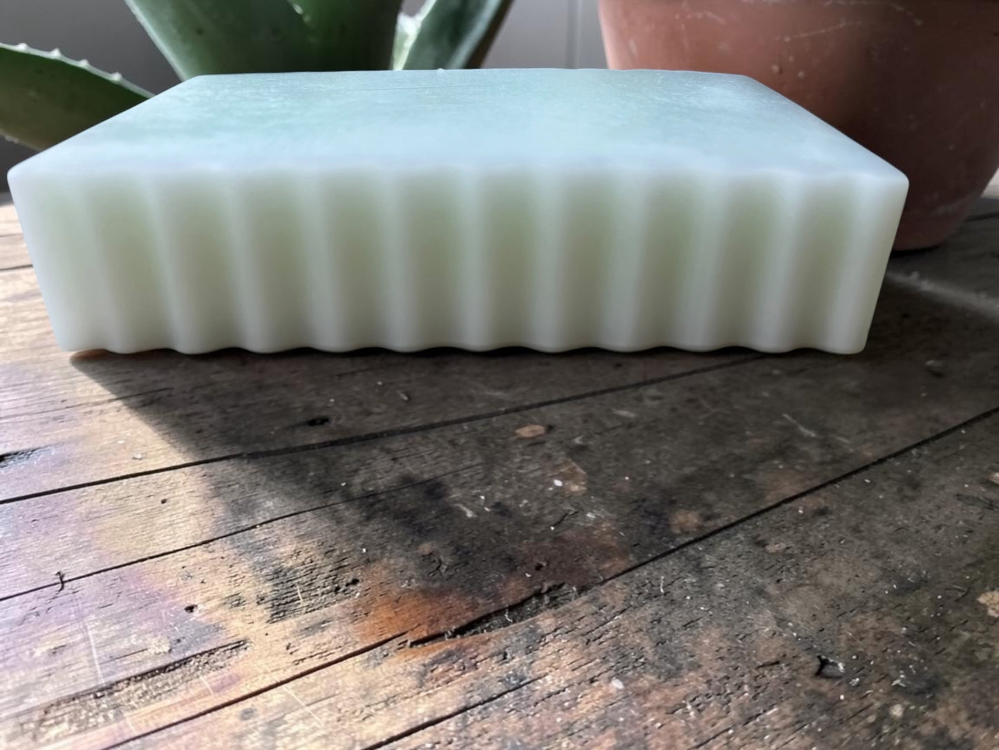 Aloe Recovery Bar