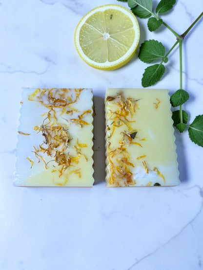 Lemon Verbena Bundle