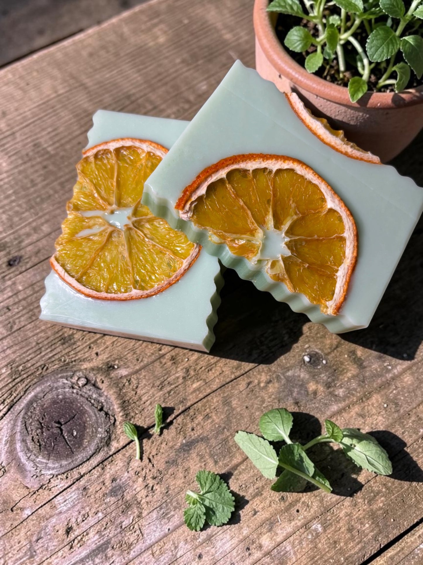 Herb Garden: Goat Milk Soap with Rosemary, Basil, and Mint