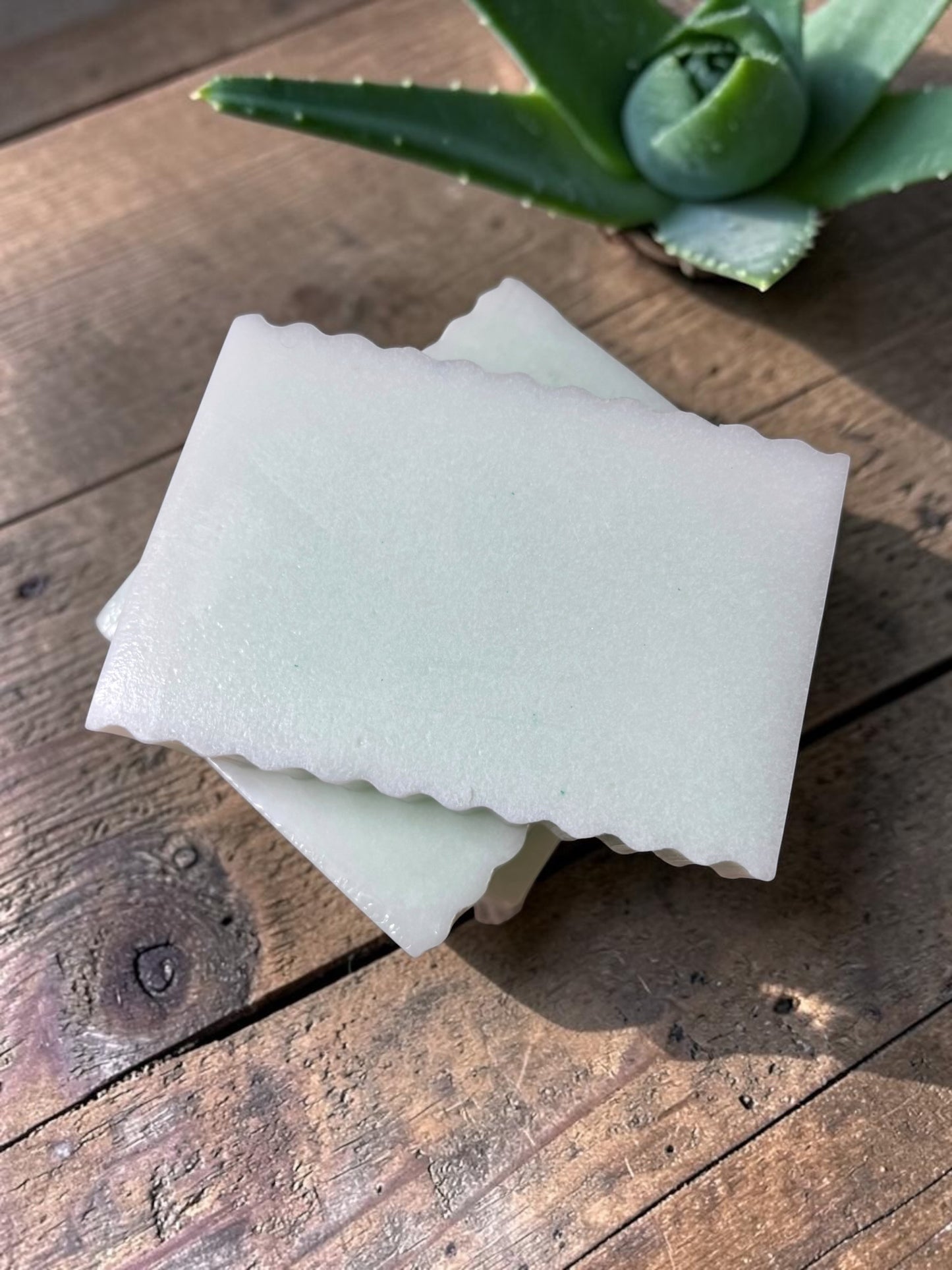 Aloe Recovery Bar