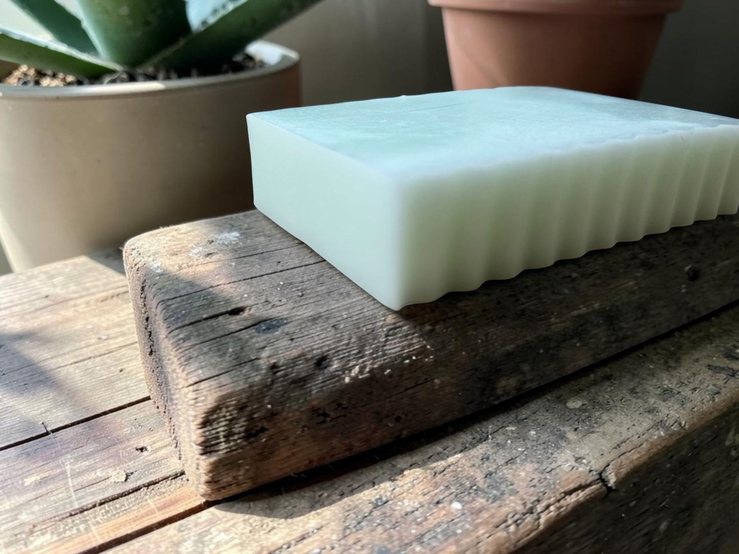 Aloe Recovery Bar
