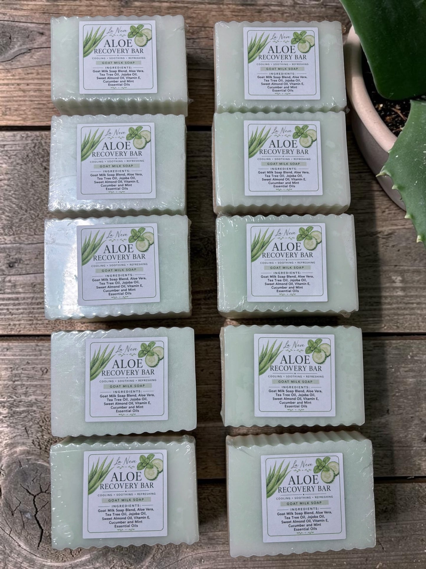 Aloe Recovery Bar